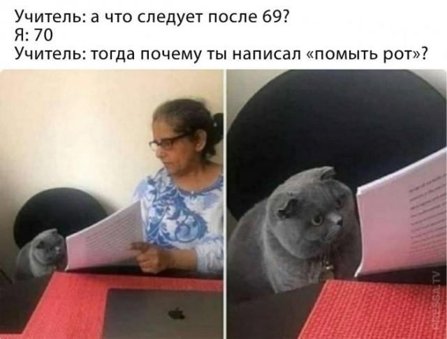 Немного картинок для настроения 16.09.20