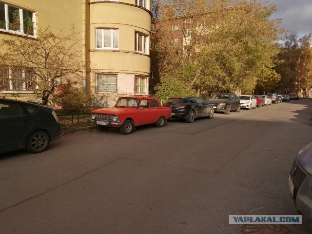Справедливо ли, что женщины жрут наравне с мужчинами?