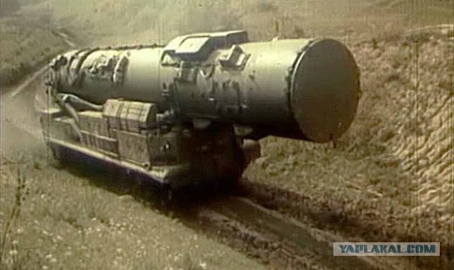 Высоко сижу, далеко гляжу!
