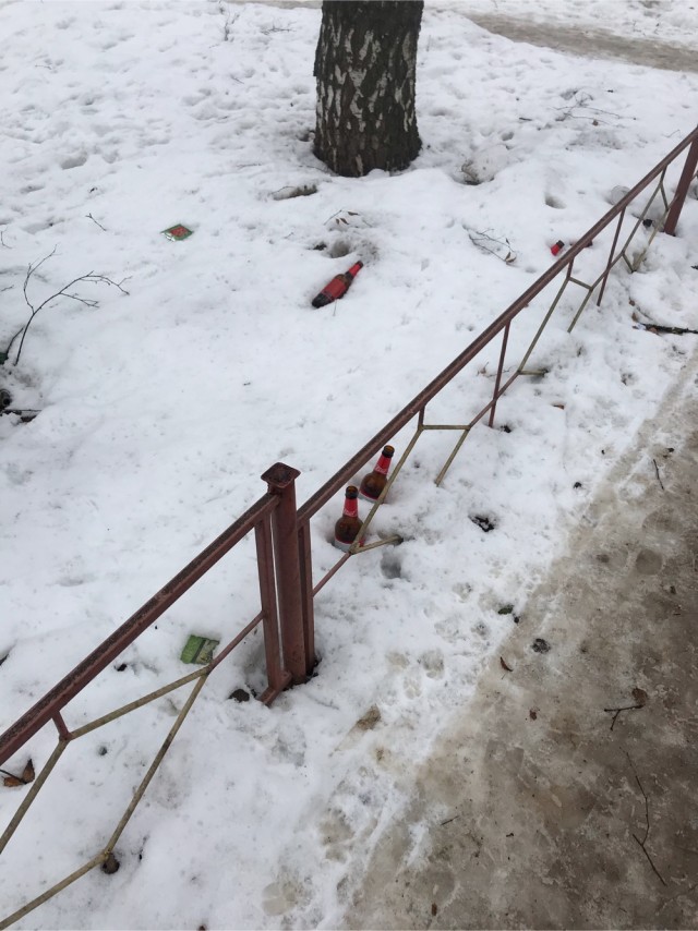 Убирайте за своими питомцами!