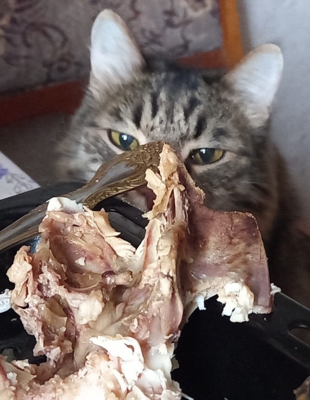 - Страдалец