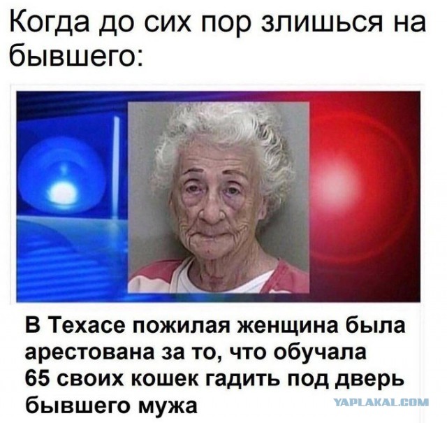 Бредзона 08.08.21