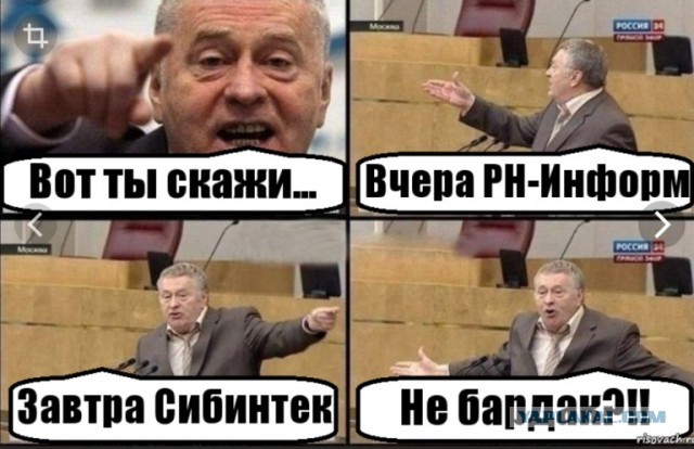Поколение ЕГЭ приступило к работе