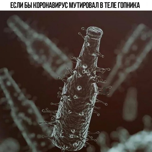 Весёлый полтишок 16.12