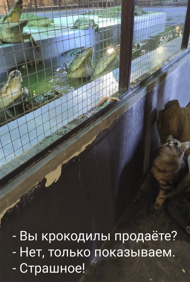 Немного картинок и прочей хреноты Vol. 3