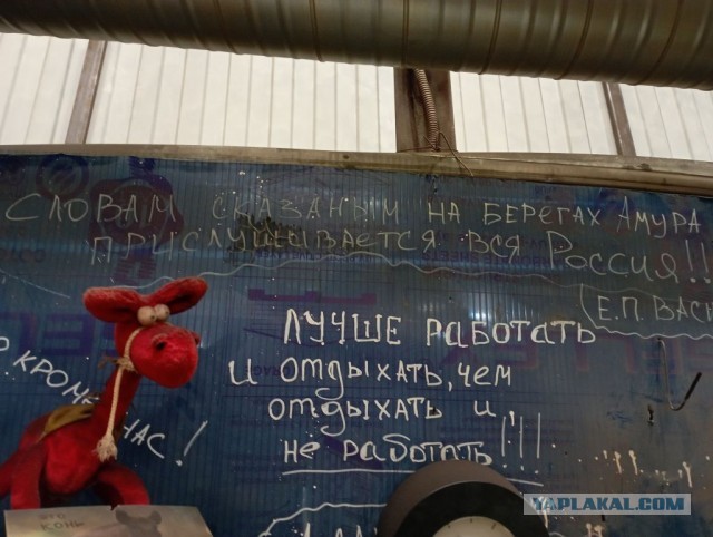 Настенная жизнь обычного завода