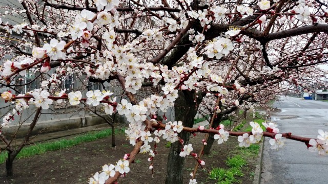 Как стать мудаком. Краткое руководство к действию