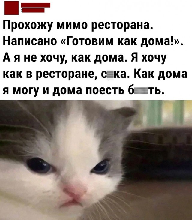 Так себе картинки 14.05.22