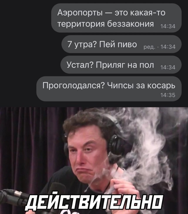 Весёлый полтишок 14.06.22