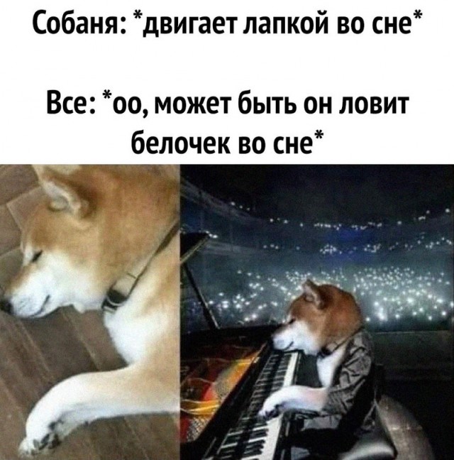 Немного картинок для настроения - 123