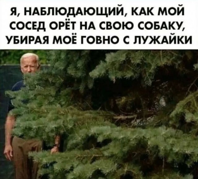 Так себе картинки 24.09.22