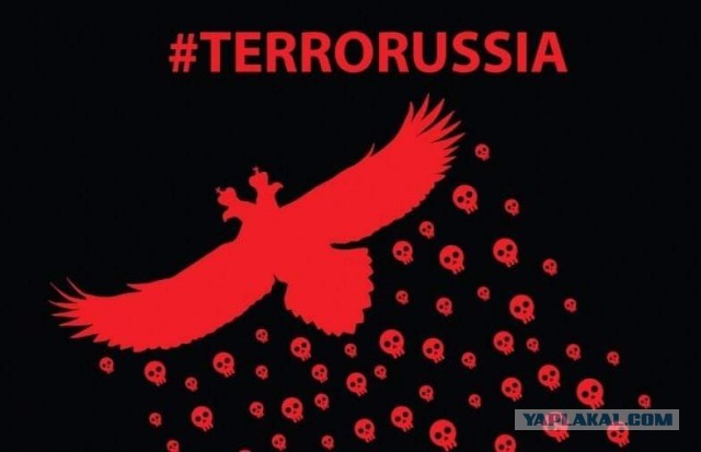 Ответ на терракты киевского режима: результаты