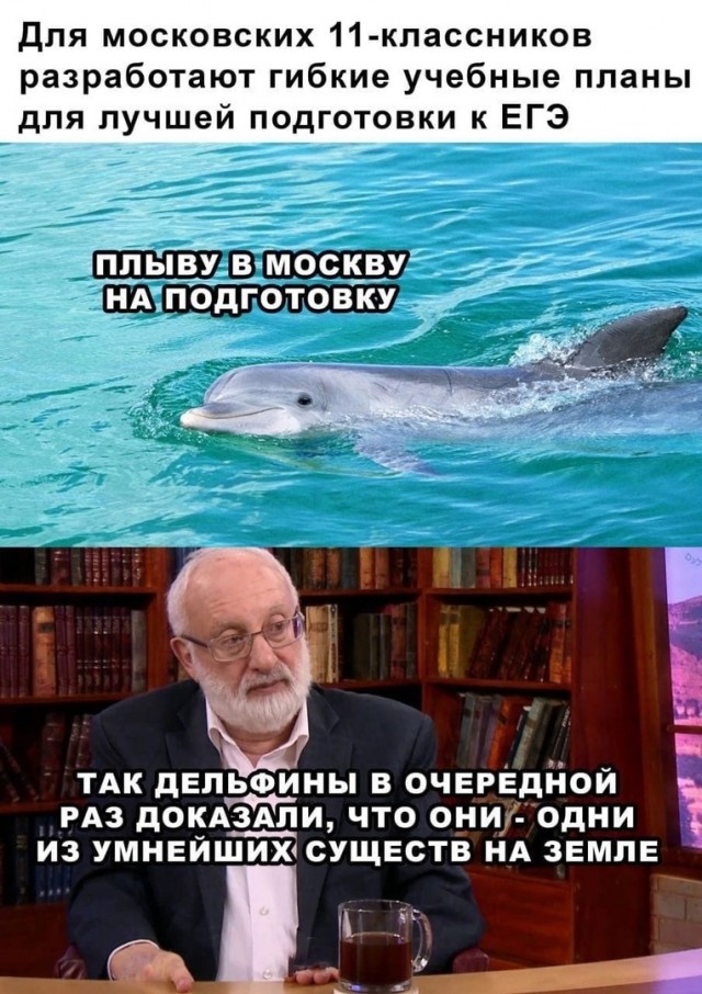 Так себе картинки 19.11.22