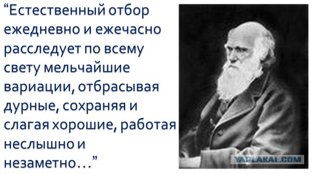Парочка решила уединиться в гараже и угорела