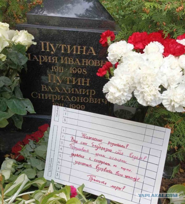 Победная поступь идиотизма по планете – том 8