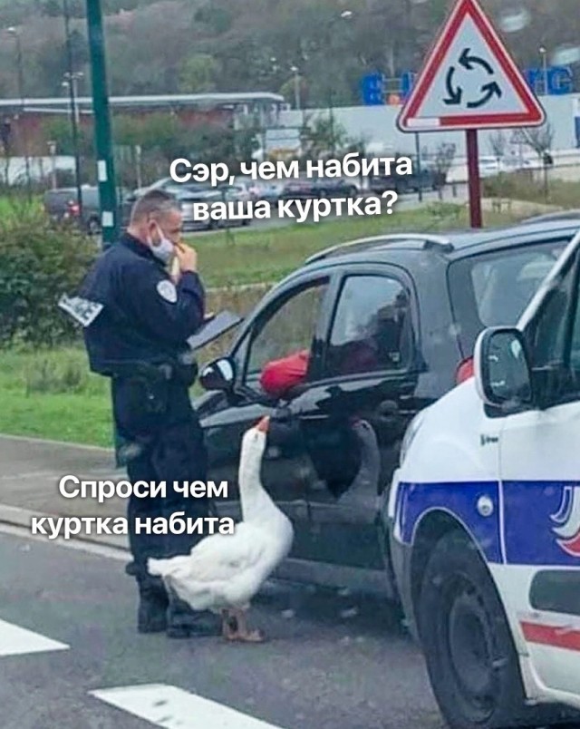 Так себе картинки 26.02.23