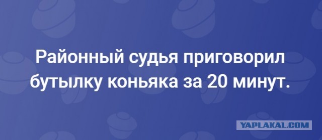 Забавные комментарии из социальных сетей (27.03.23)