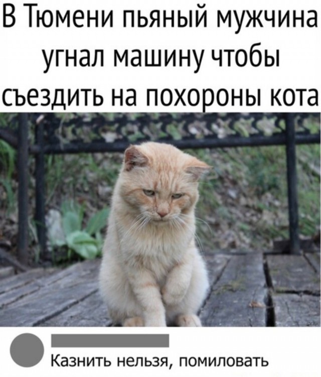 Чернила-6