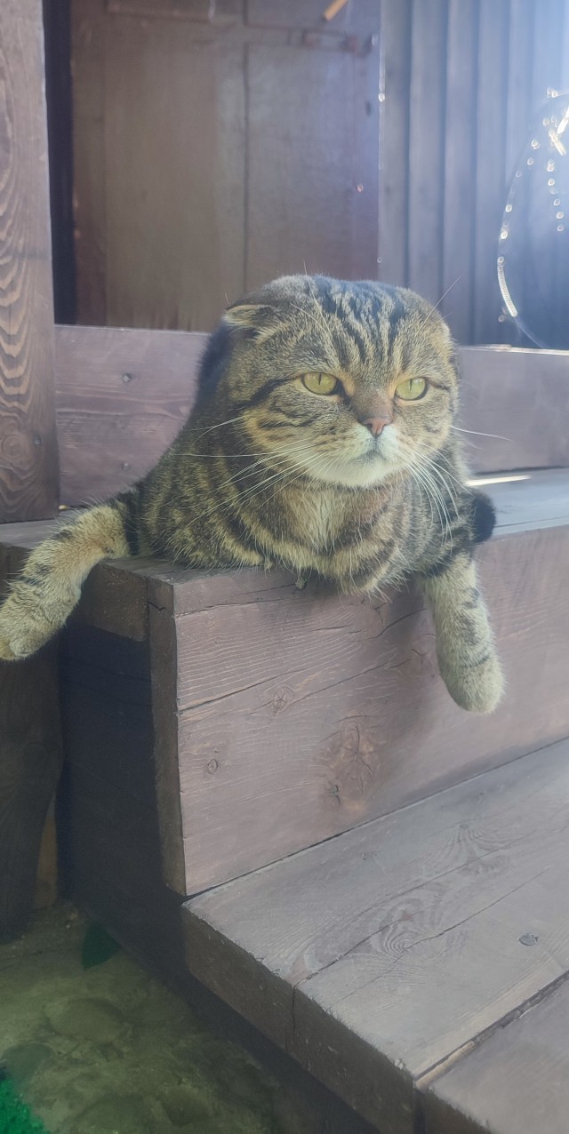 Вот