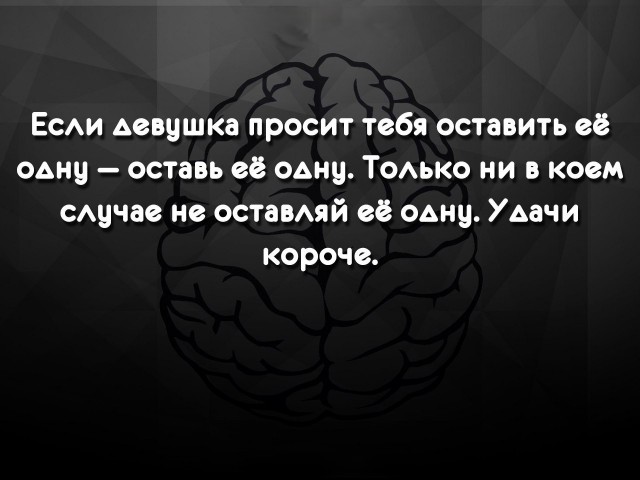 Нуштош 03.08.2023