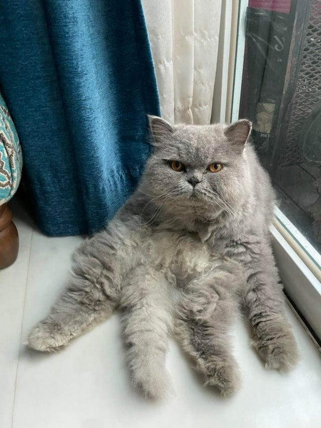 Фотографии , на которые нужно посмотреть дважды
