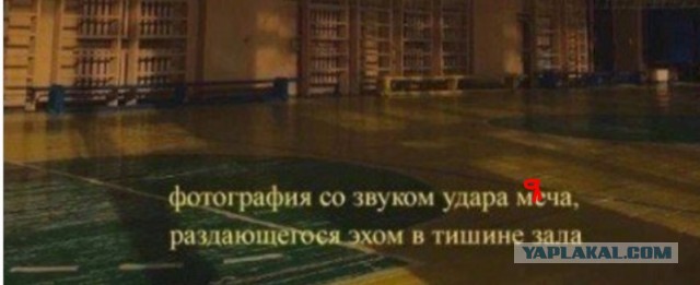 Всего понемногу. От 24.01.24