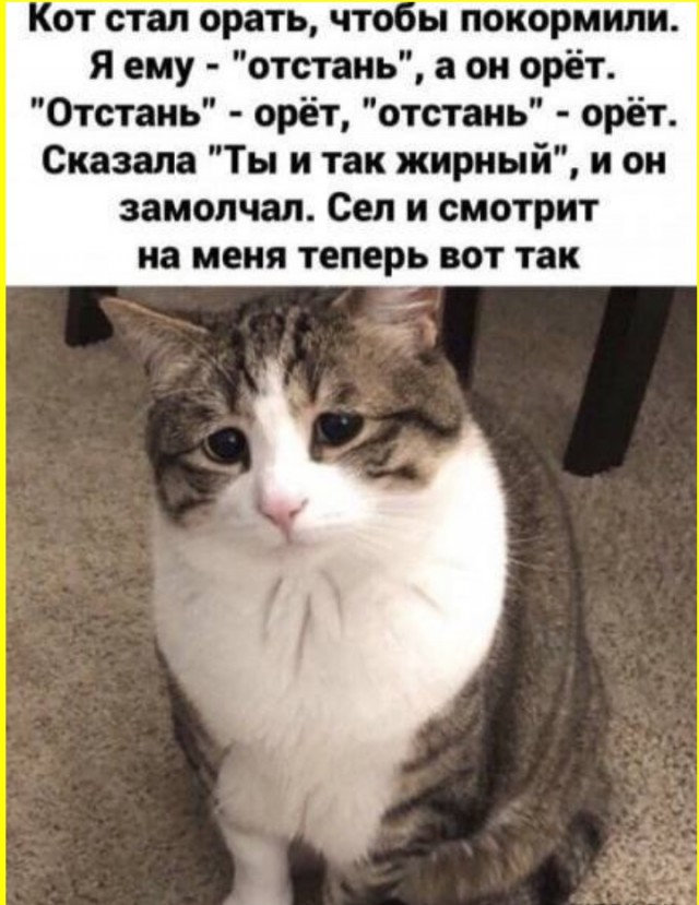 ТЛидцать тЛи от 5 апЛеля