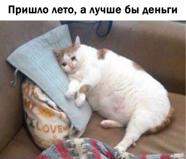 Завалялось тут случайно немного забавных картинок