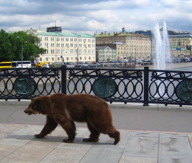 ФотоВинегрет