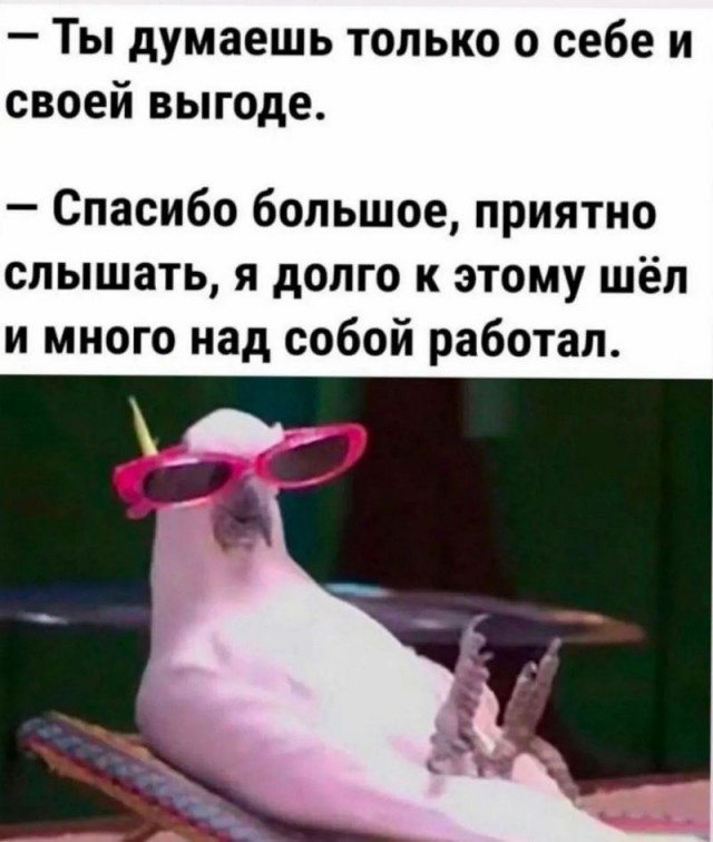 Завалялось тут случайно немного забавных картинок