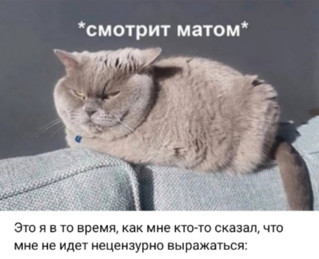 Так себе картинки 12.01.25