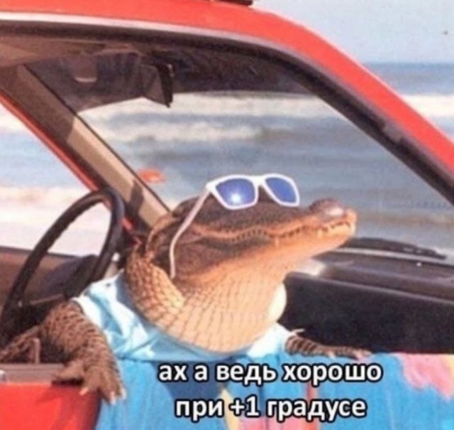 Так себе картинки 30.01.25