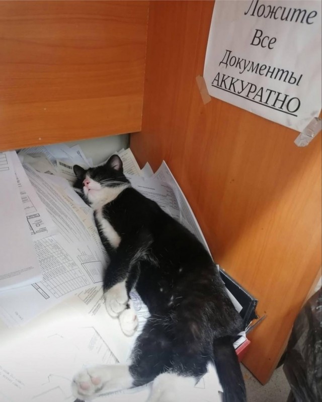Так себе картинки 28.05.25