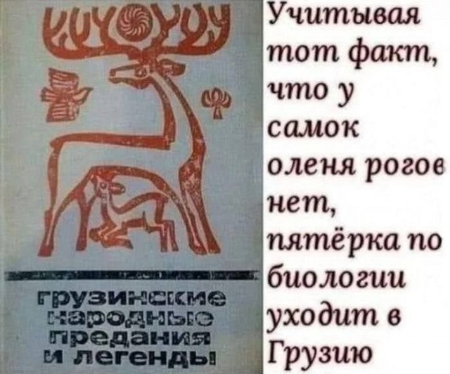 Интернет мемчики за пол дня, ну сколько набралось