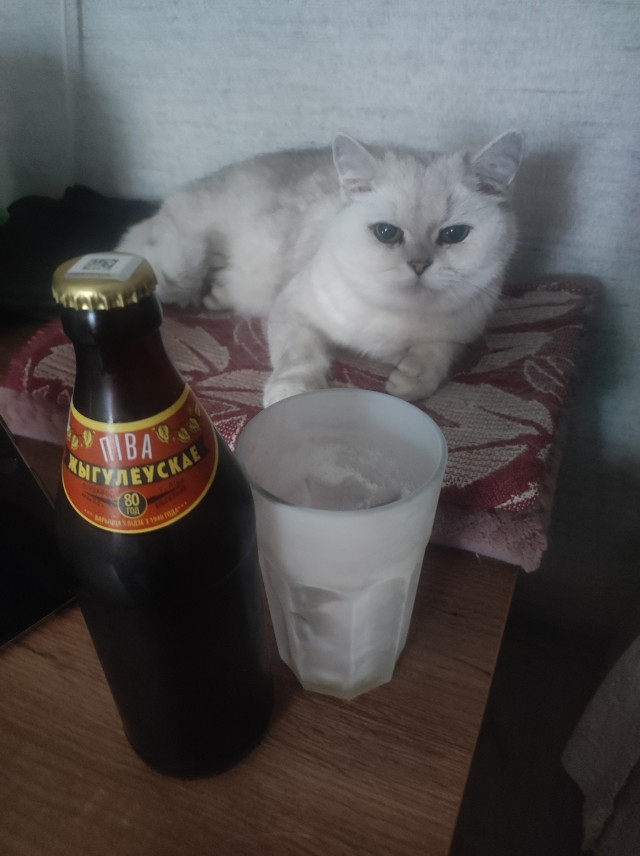 1 августа Международный день пива