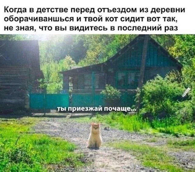 В деревне