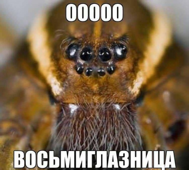 Картинки для деградации 35 (разной степени свежести)