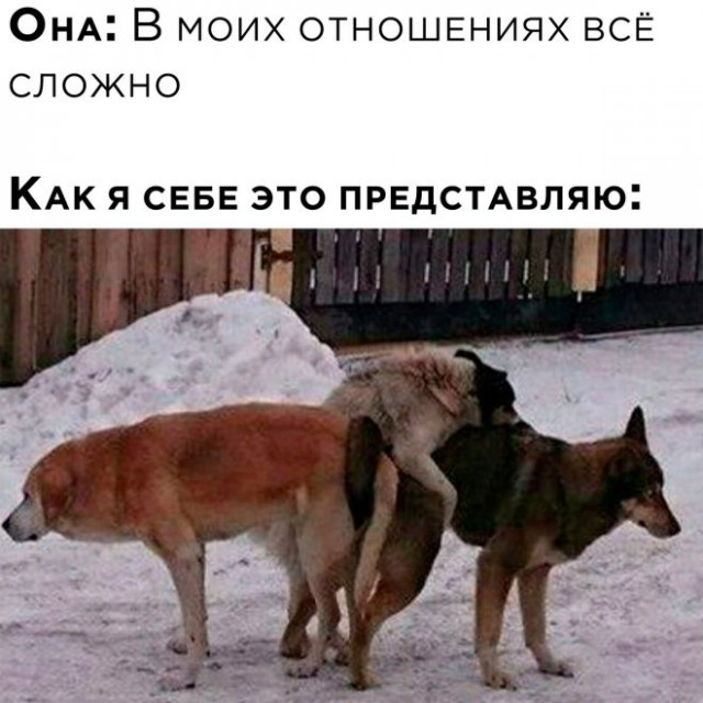 Веселые картинки в маленькую пятницу (24.09)