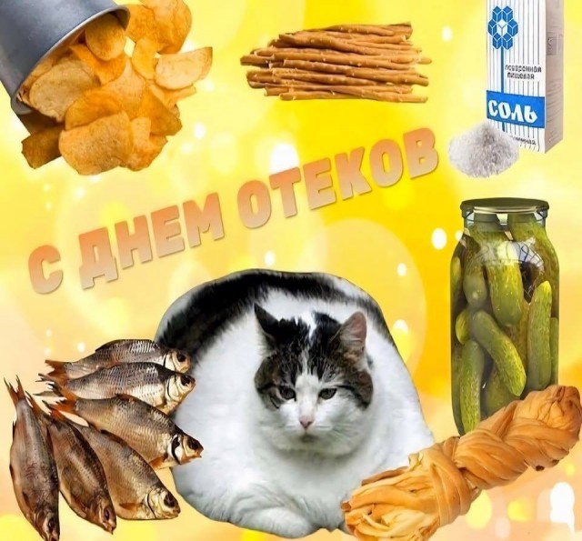 Веселое настроение в картинках (05.10.2025)