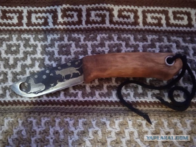 Кошачий нож