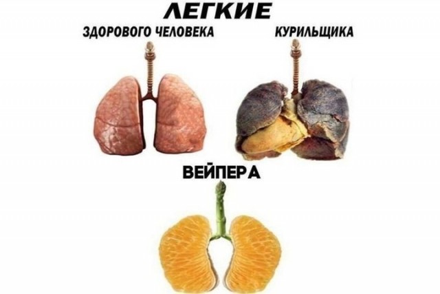 А я говорил..