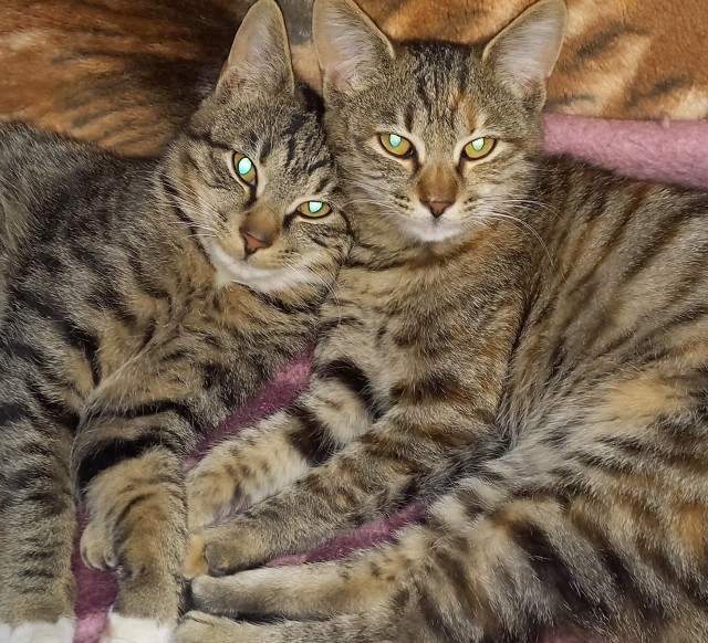 Герои мема "Ебать ты лох" выросли