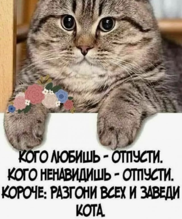 Почему все сердитые такие?