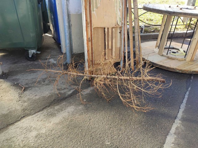 Шло 99 января нового года.