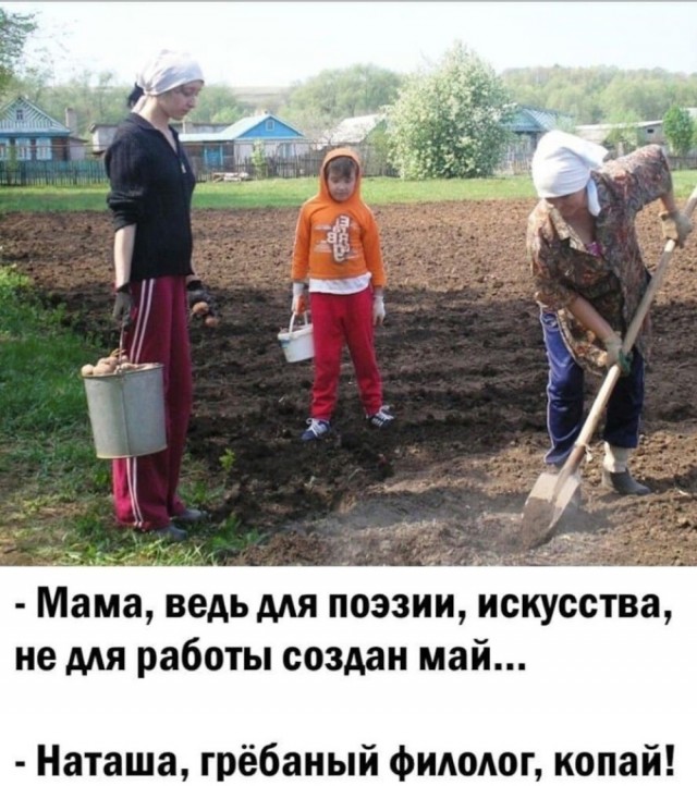 Воскресные картинки