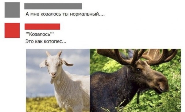 Казалось, что могло пойти не так?