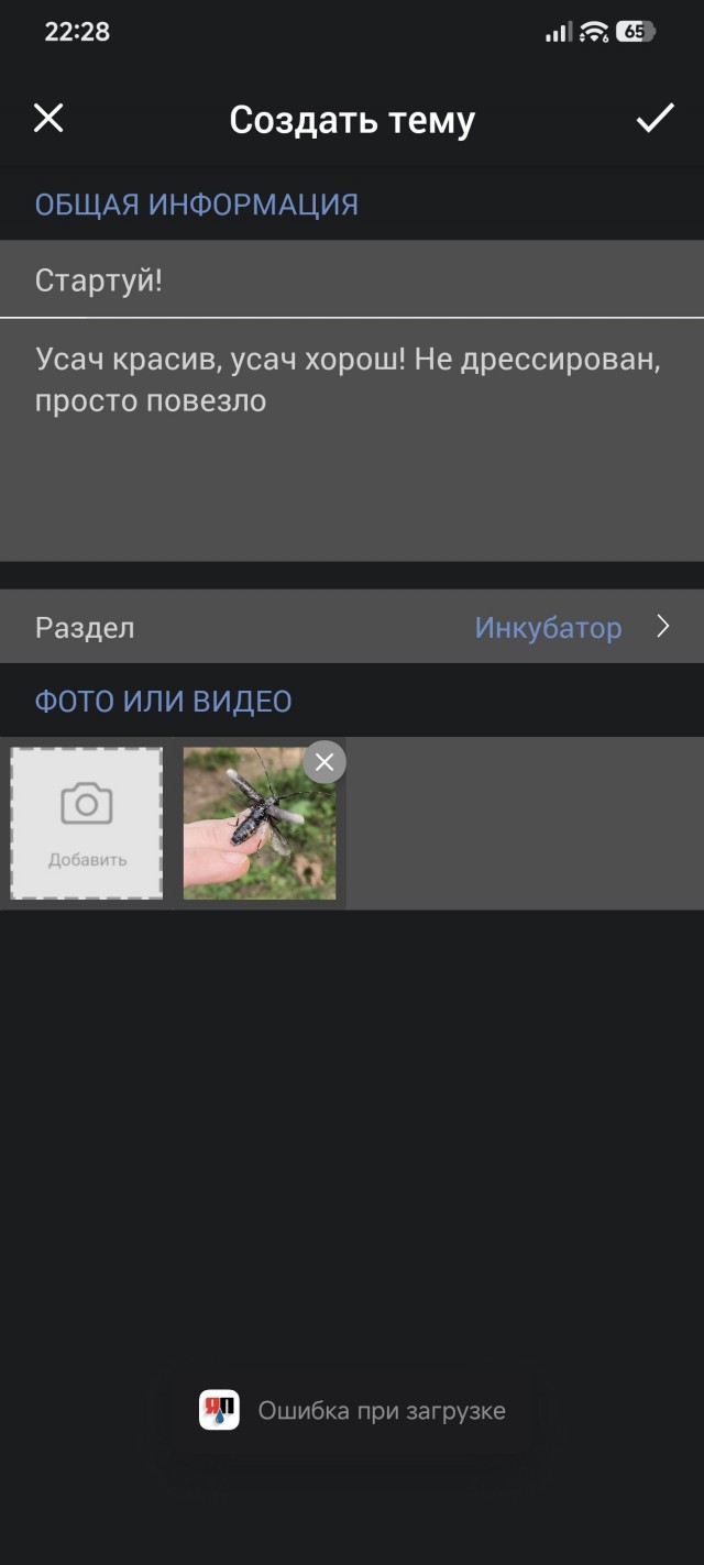Почему?