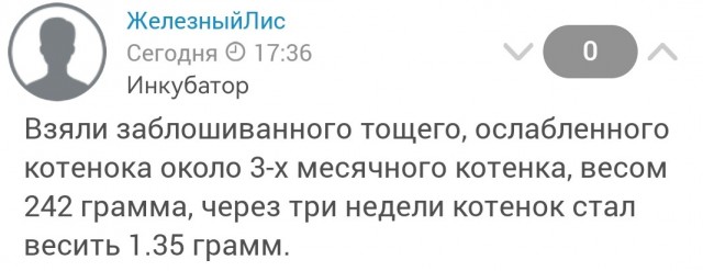 Вопрос по весу котенка
