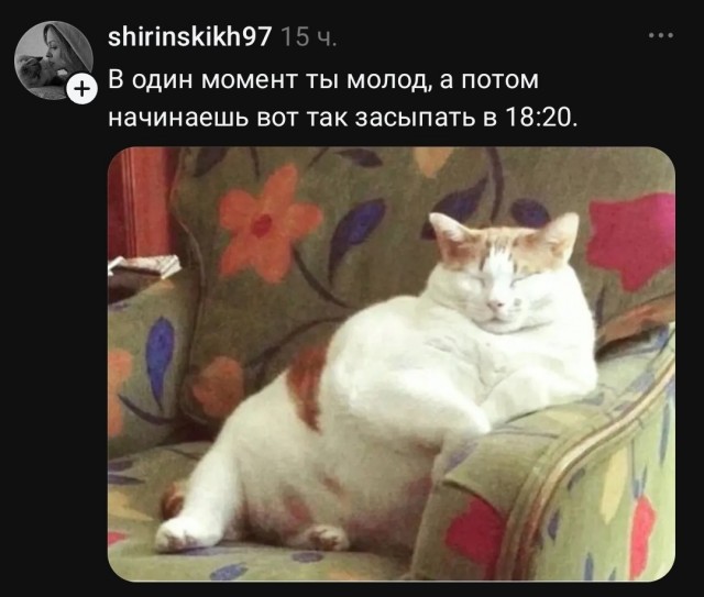 Воть так воть⁠