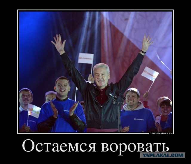 "Москвичи" за Собянина